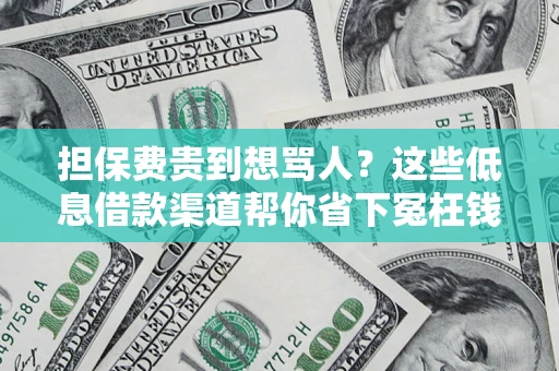 济南担保费贵到想骂人？这些低息借款渠道帮你省下冤枉钱